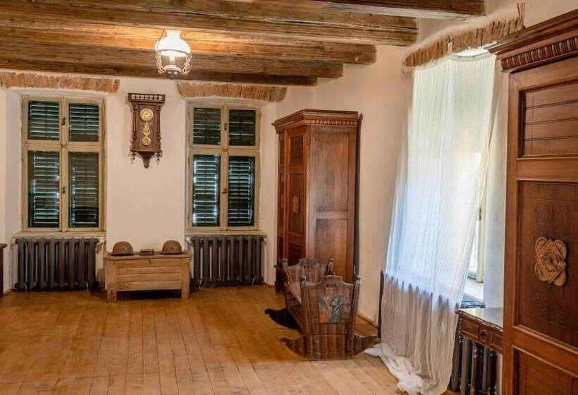 פנסיון șura Din Seleuș   Seleuș Barn   Idyllic Countryside M Museum House