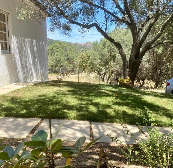 פנסיון Villa Uliveto Bikes & Spa