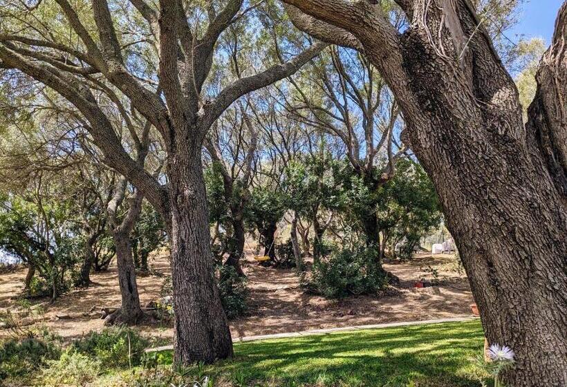 פנסיון Villa Uliveto Bikes & Spa