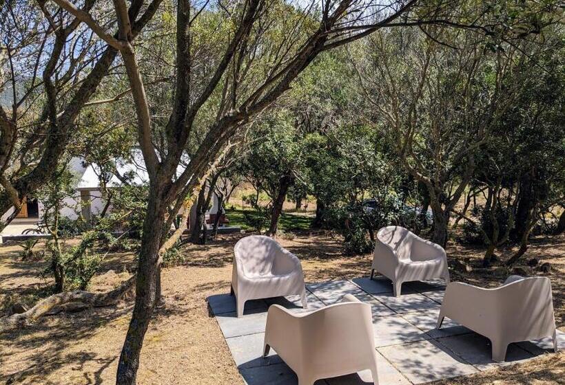 פנסיון Villa Uliveto Bikes & Spa