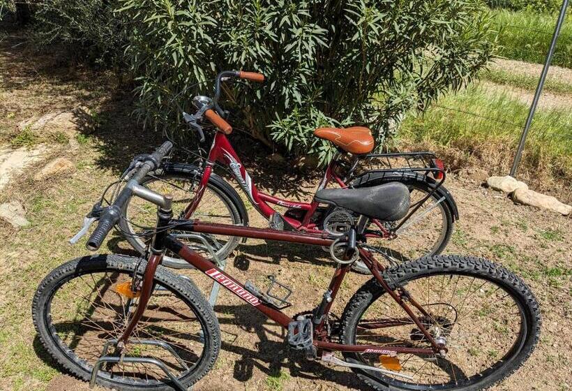 פנסיון Villa Uliveto Bikes & Spa