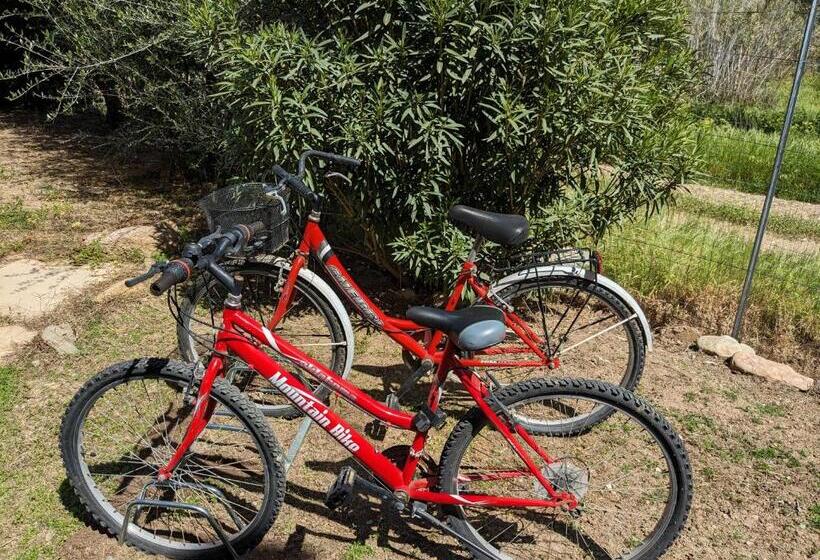 פנסיון Villa Uliveto Bikes & Spa