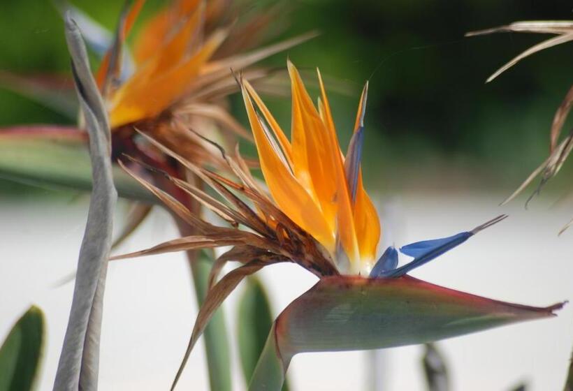 Quinta Das Murteiras