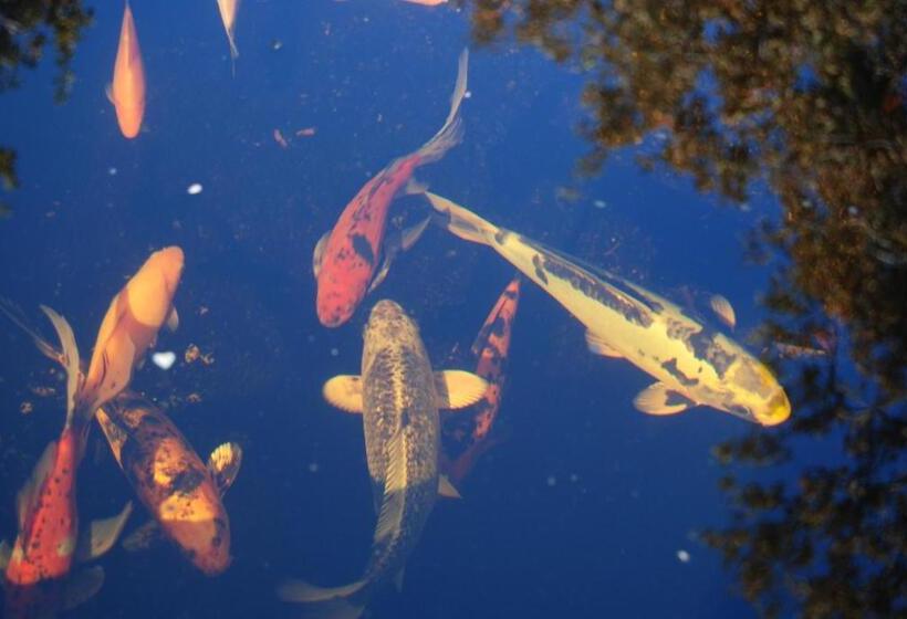 Quinta Das Murteiras