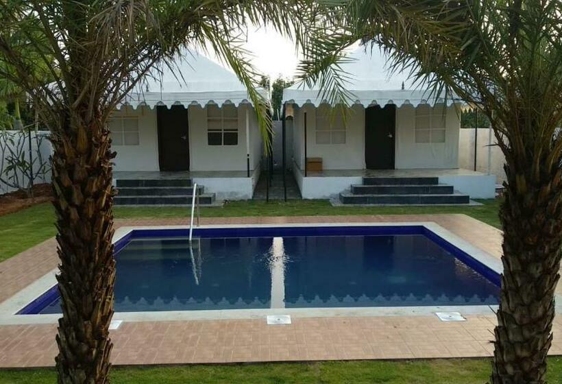 אתר נופש 16 Bedouin