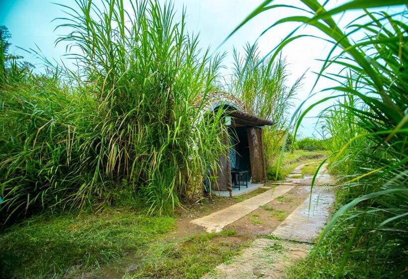 Shining Caves Resort In Anaikatti By Voye Homes