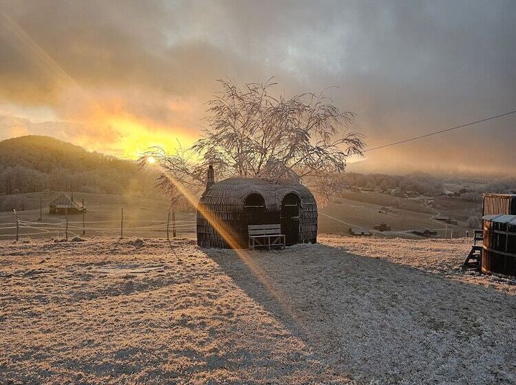 Ursa Mica Glamping Resort