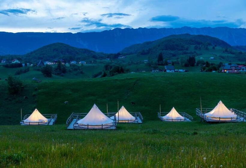 Ursa Mica Glamping Resort