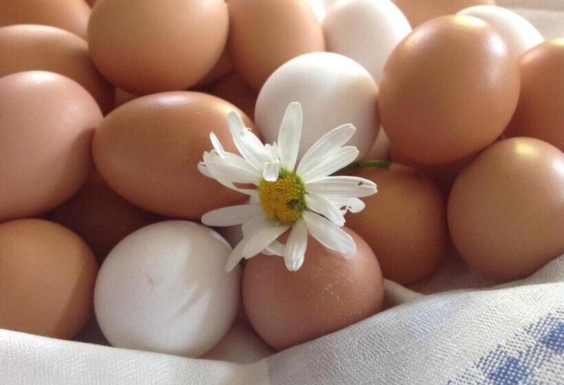 فندق صغير Landhaus Apartments