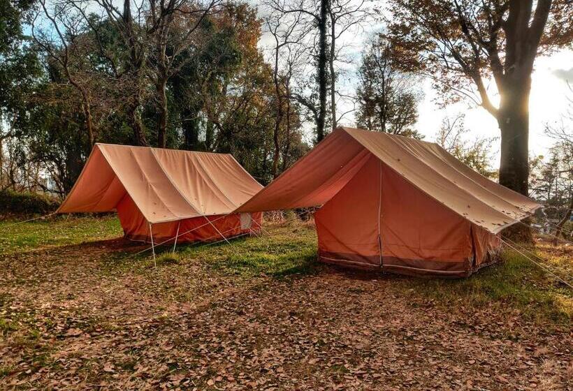 Общежитие Monkey Mud House And Camps, Bir