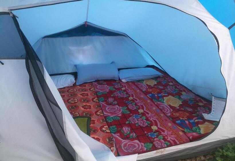 Общежитие Monkey Mud House And Camps, Bir