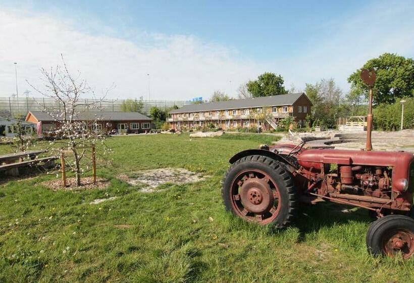 Amsterdam Farm Lodge