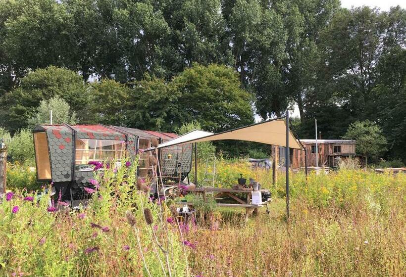 Amsterdam Farm Lodge