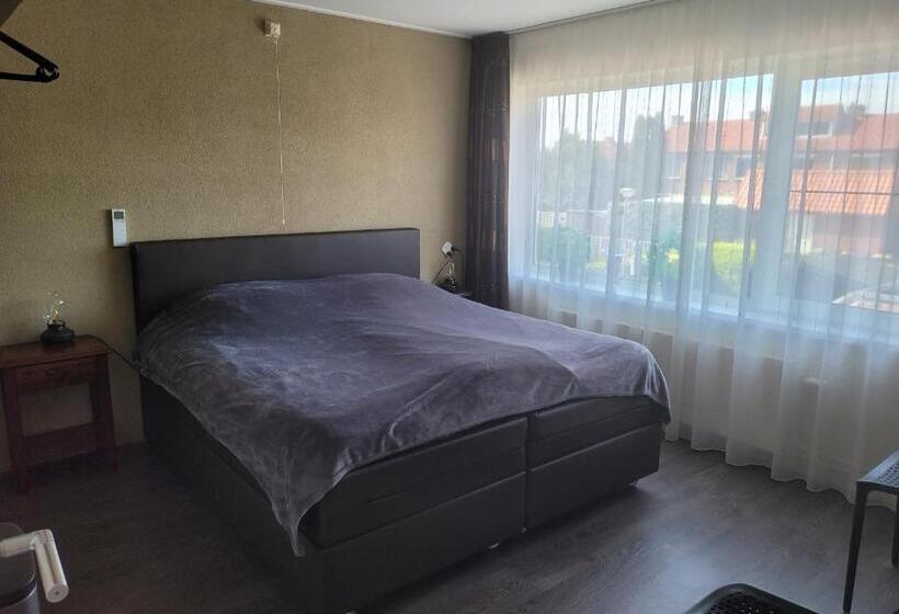 تختخواب و صبحانه Bed & Budget123