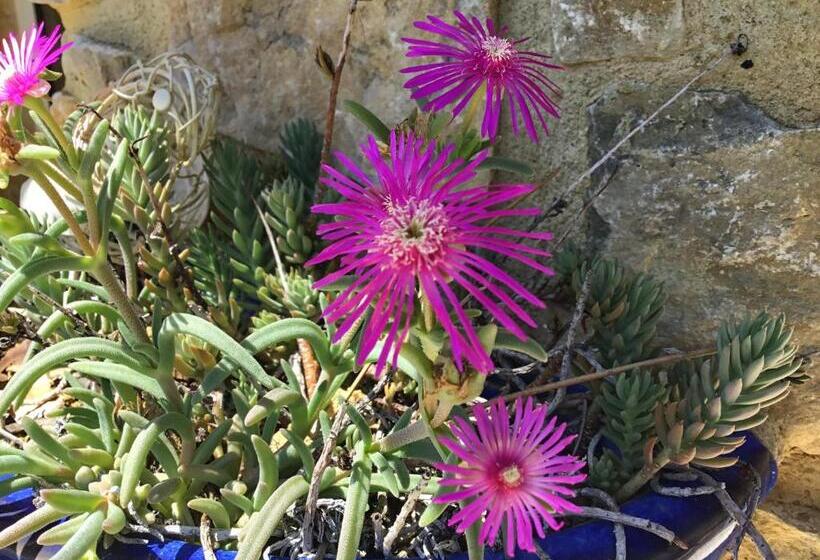 مبيت وإفطار Chambres D Hôtes Et Gîtes Les Restanques