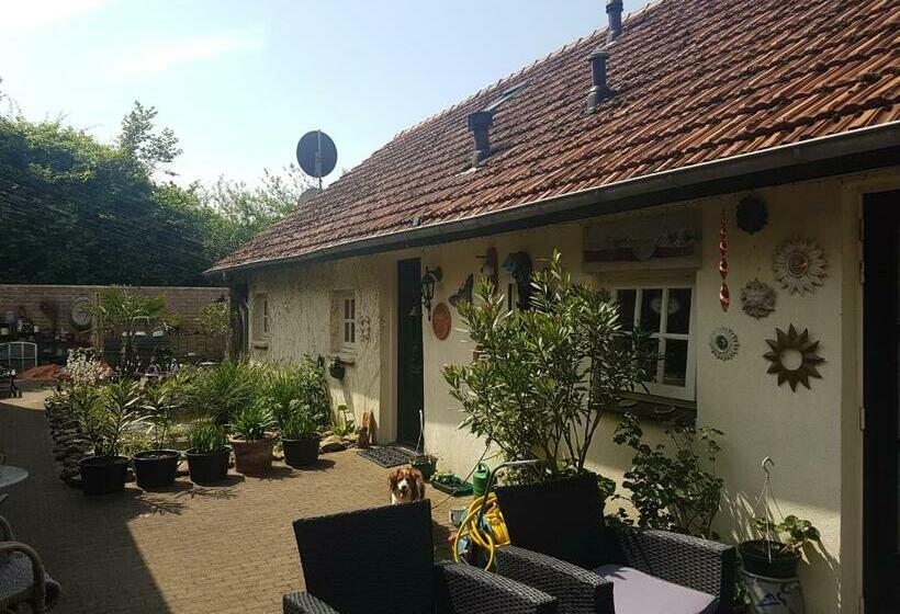 Bed and Breakfast De Boerebeemd