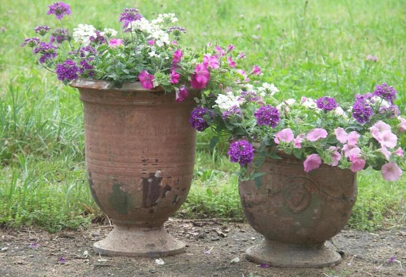 住宿加早餐 Domaine Du Peyron