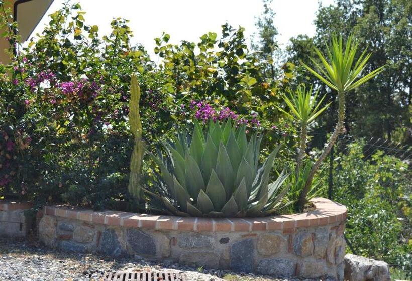 ベッドアンドブレックファースト Incanto Di Luna