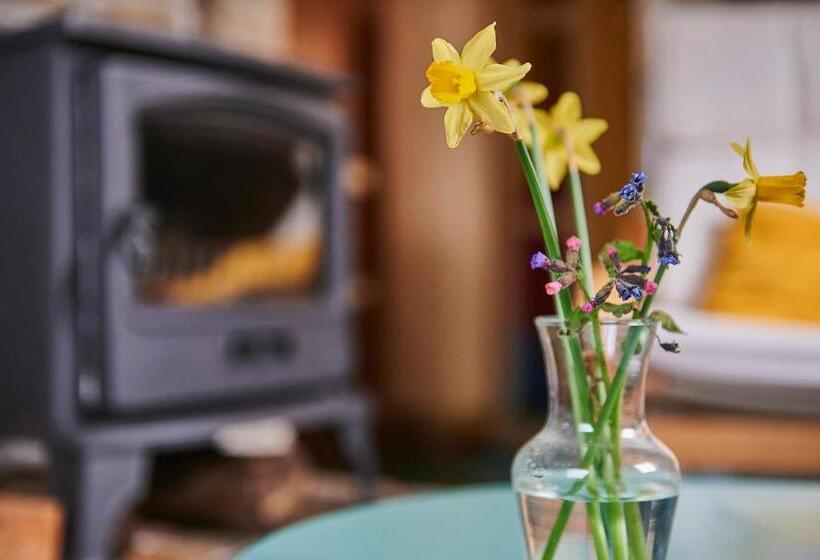 Bed And Breakfast Joarum