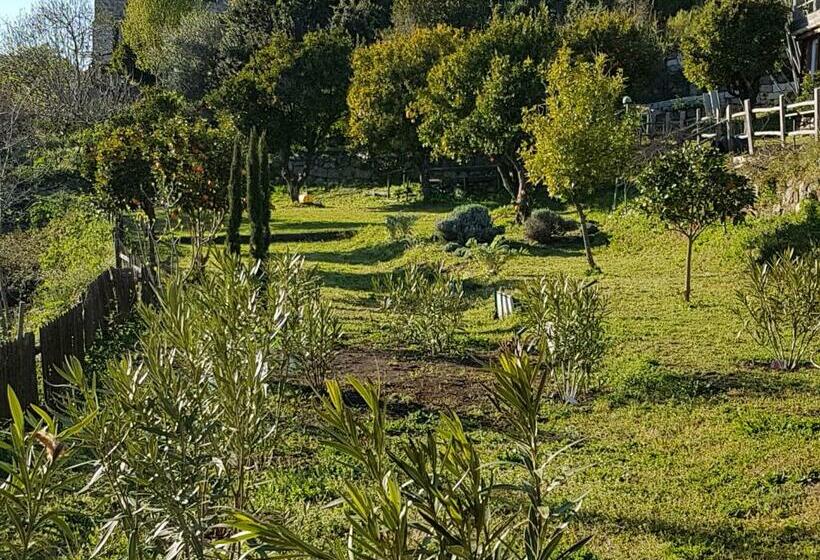 Bed and Breakfast La Villa Guidi