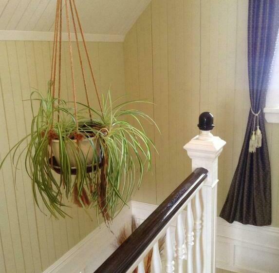 ベッドアンドブレックファースト Le Gîte Du Coteau