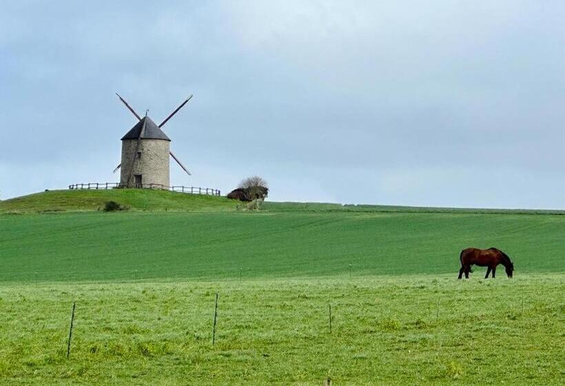 住宿加早餐  Maison Mama Neko