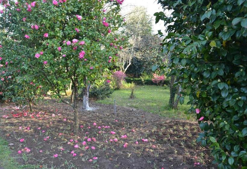 민박 Quinta D Avó Amélia