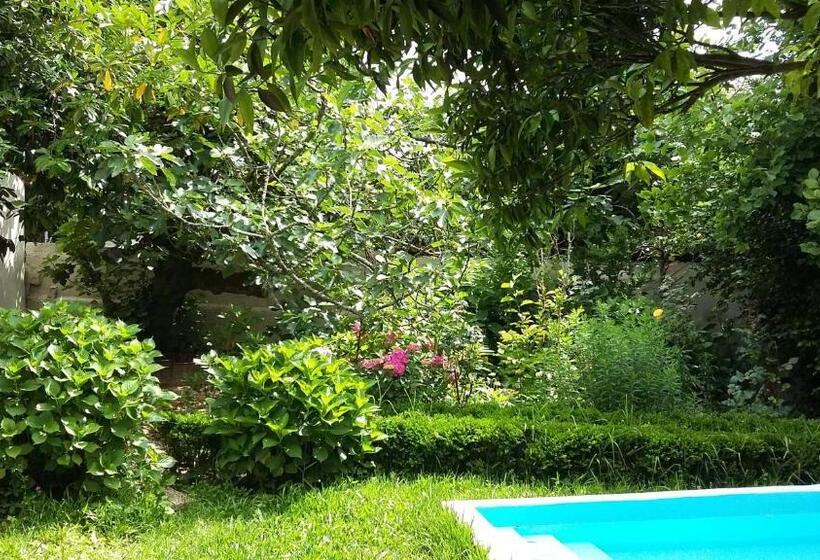 민박 Quinta D Avó Amélia