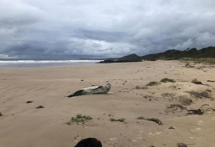 مبيت وإفطار Rocky Cape Retreat