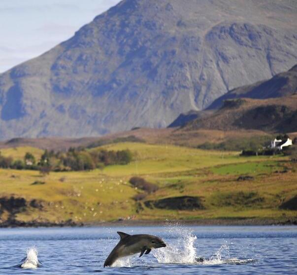 Bed and Breakfast Skye Photo Centre