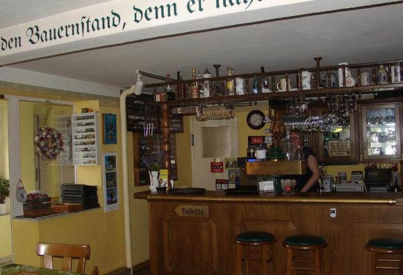 ベッドアンドブレックファースト Teschendorfer Landgasthof