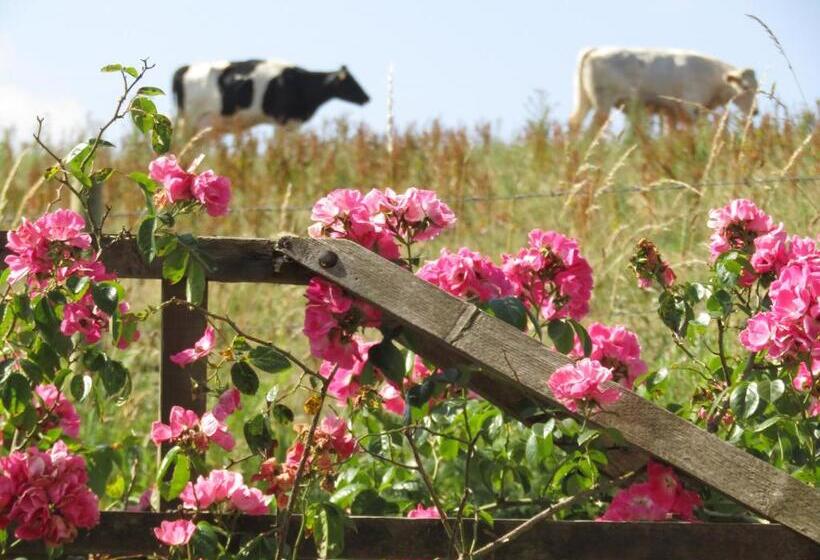 Bed and Breakfast Treganoon House, Lanlivery
