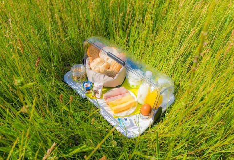 Bed & Breakfast Bos En Weide