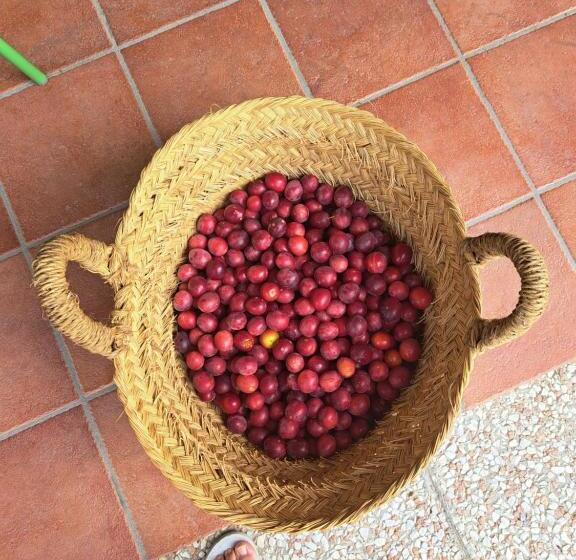 هتل Agriturismo La Tortorella