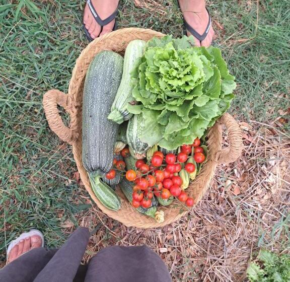 هتل Agriturismo La Tortorella