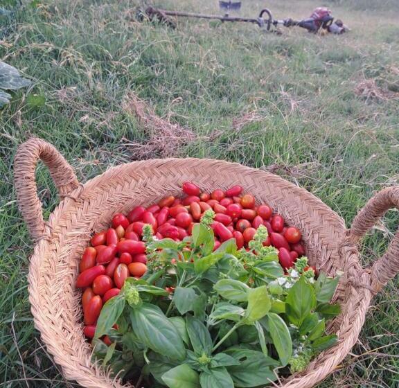 هتل Agriturismo La Tortorella