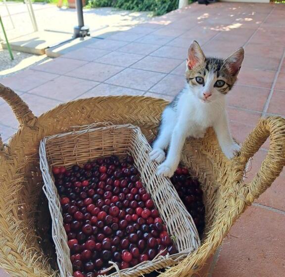 هتل Agriturismo La Tortorella