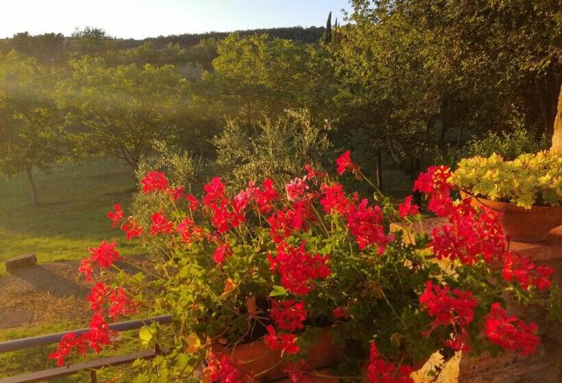 فندق Agriturismo Sommassa