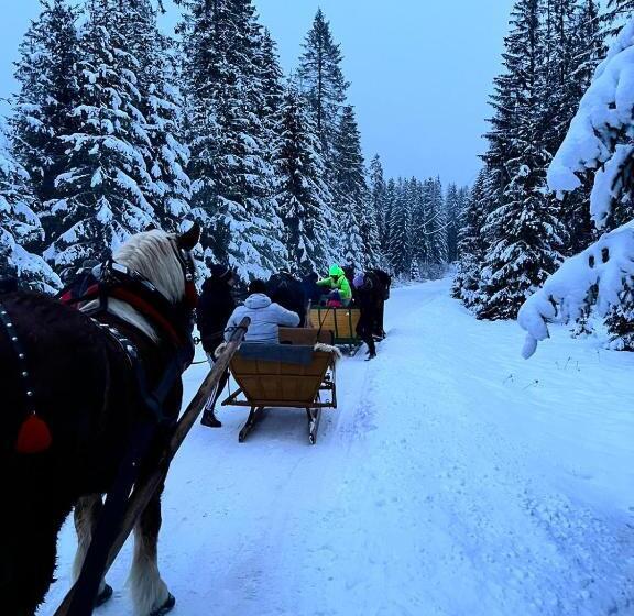 فندق Agroturystyka Pod Modrzewiem   Babia Góra