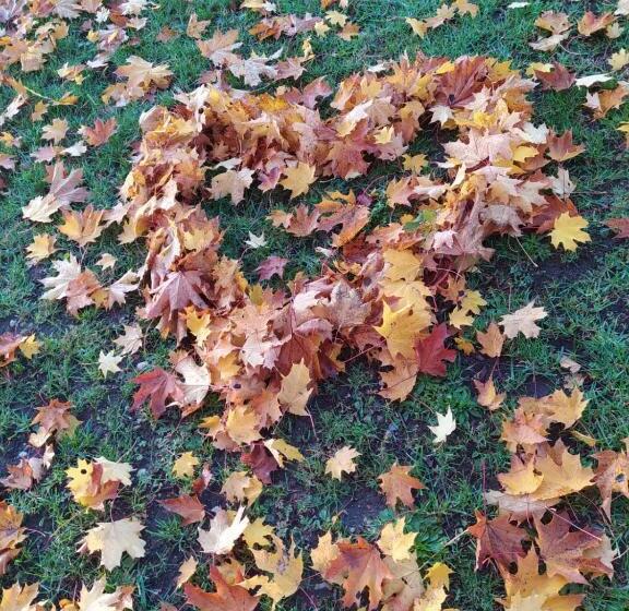 ホテル Agroturystyka U Ani