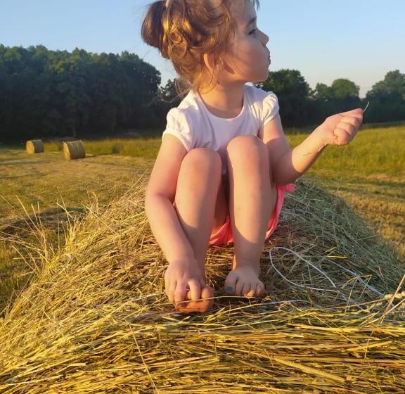 ホテル Agroturystyka U Ani