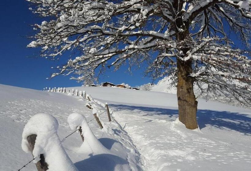 בית מלון כפרי Bauernhof Buchberg