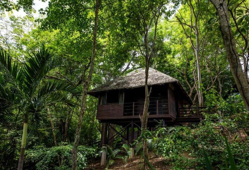 فندق Buena Vista Surf Club