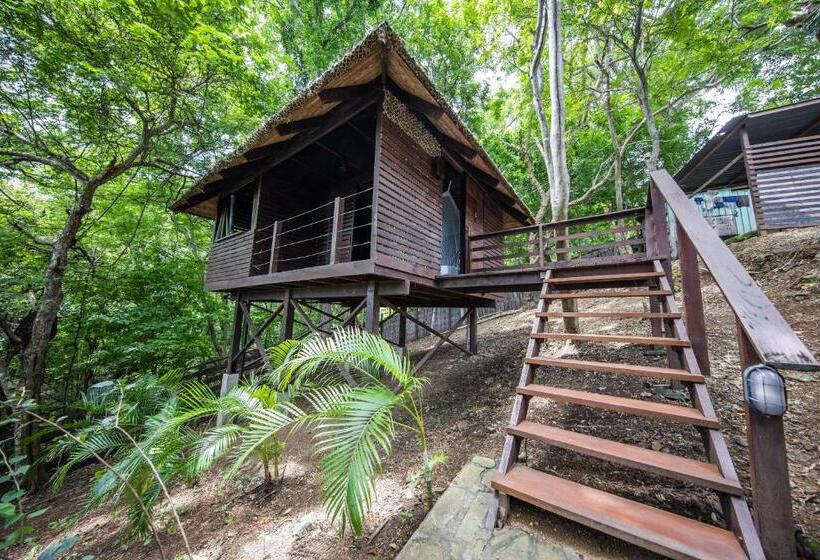 فندق Buena Vista Surf Club