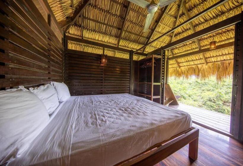 فندق Buena Vista Surf Club