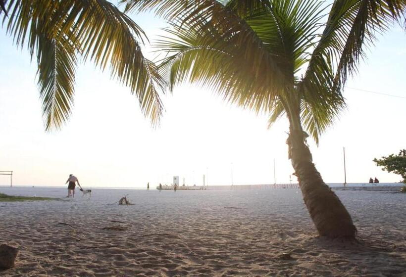 בית מלון כפרי Cabañas Camping Ria Celestun