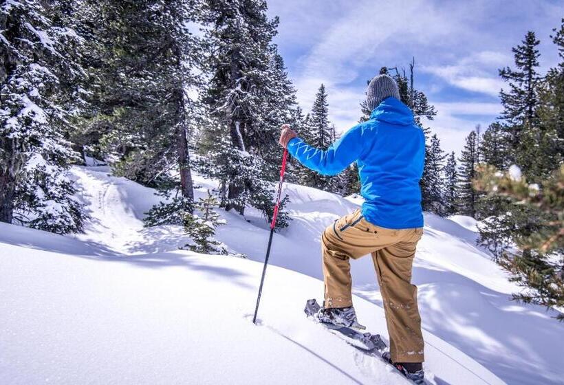 فندق De L Europe Gastein