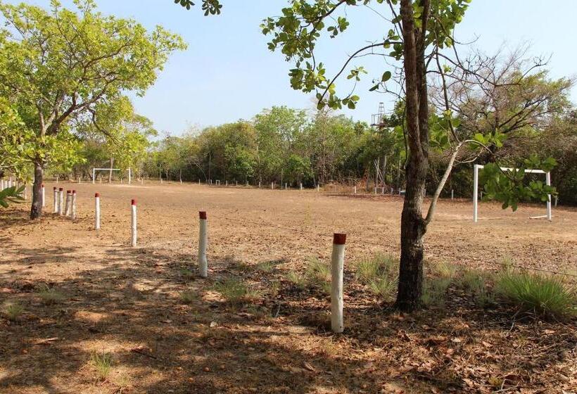 호텔 Fazenda Arara Azul