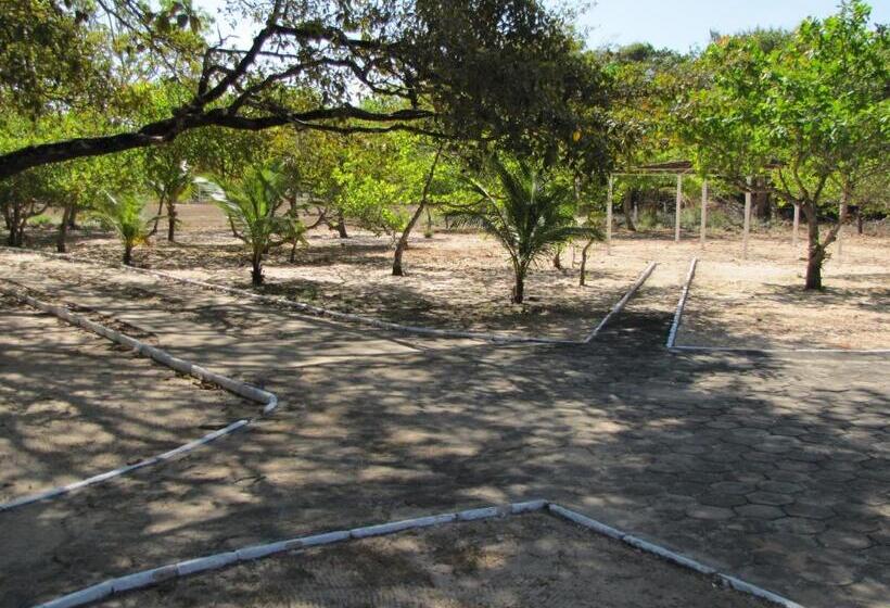 酒店 Fazenda Arara Azul