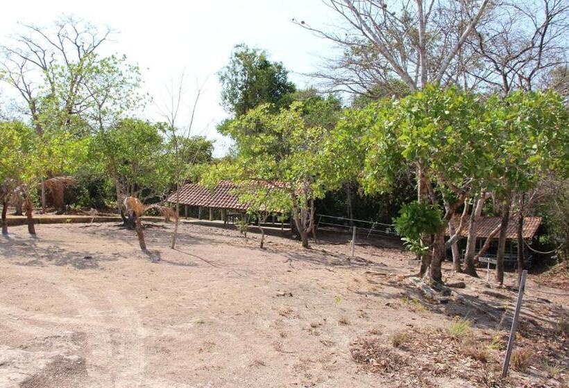 호텔 Fazenda Arara Azul